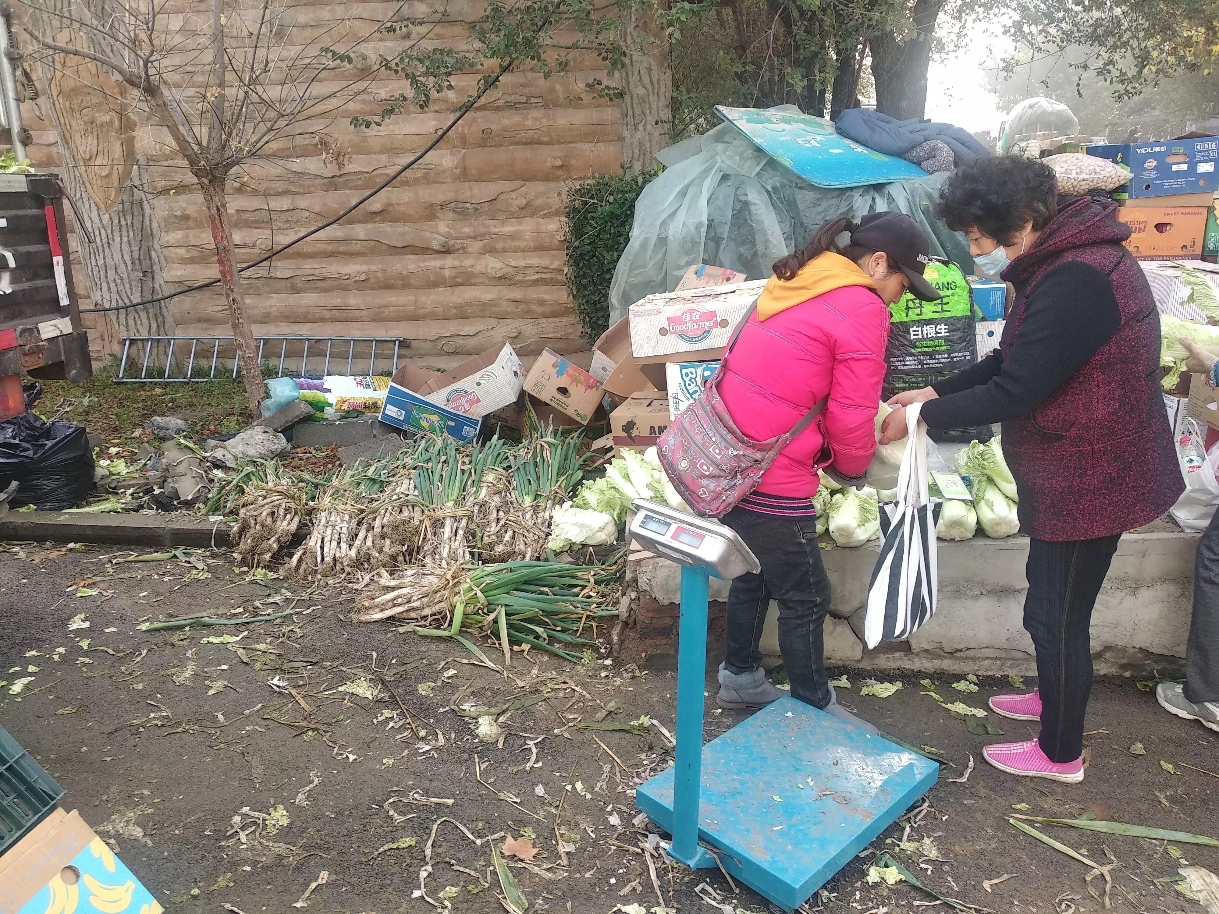 家有余粮心不慌正能量,家有余粮心不慌抖音