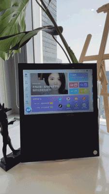 天猫精灵v10se和v10对比测评,天猫精灵v10se深度评测