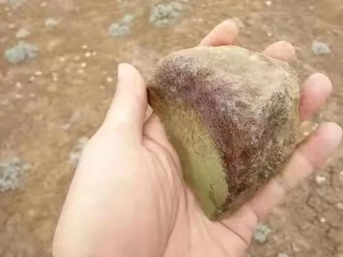 捡石头真的可以发财吗,石头捡到真能发财吗