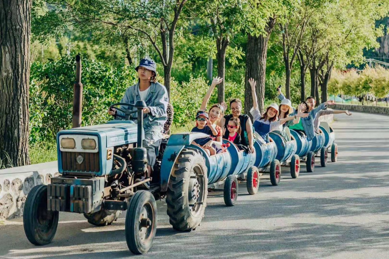 山野自然酷虫酷玩，玉米娃娃，一场自然与艺术融合的秋日盛宴