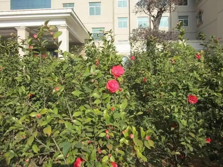 永泰云顶大峡谷门票,雾旅游视频