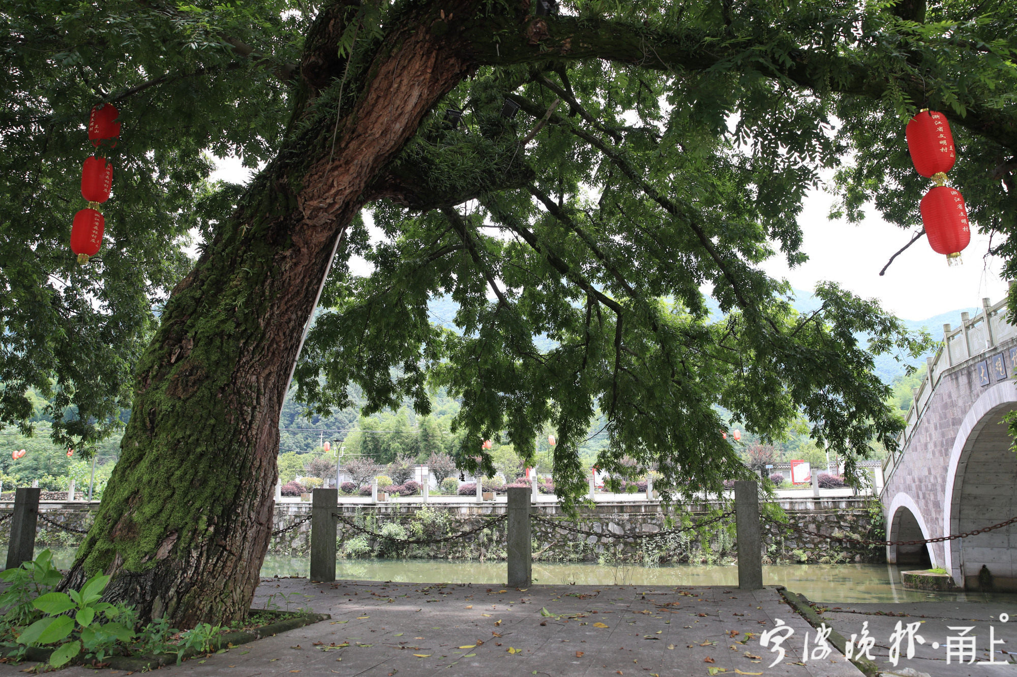 宁波余姚周边古村,余姚8个绝美古村