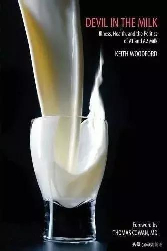 a2销售,a2宣传图