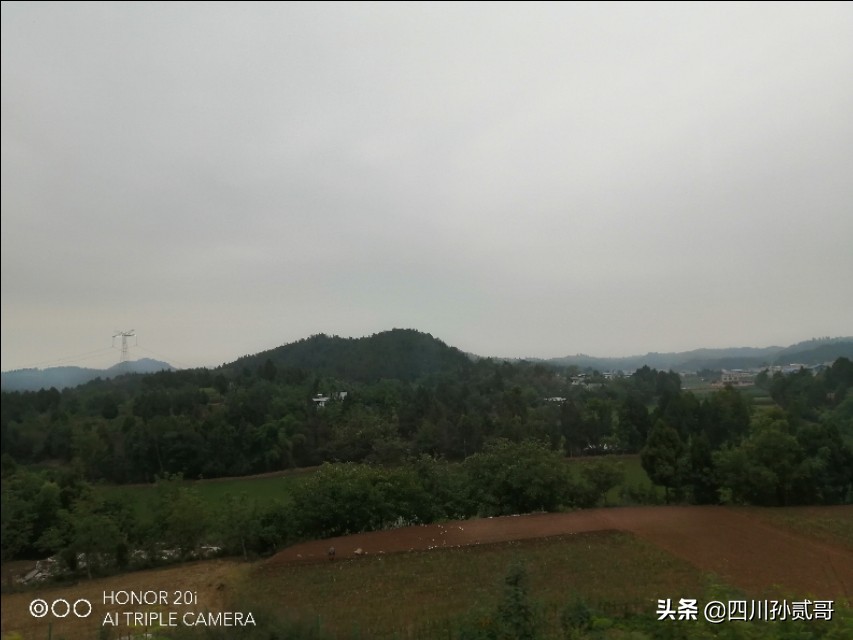 雪宝奶牛场,参观雪兰牛奶工厂心得体会