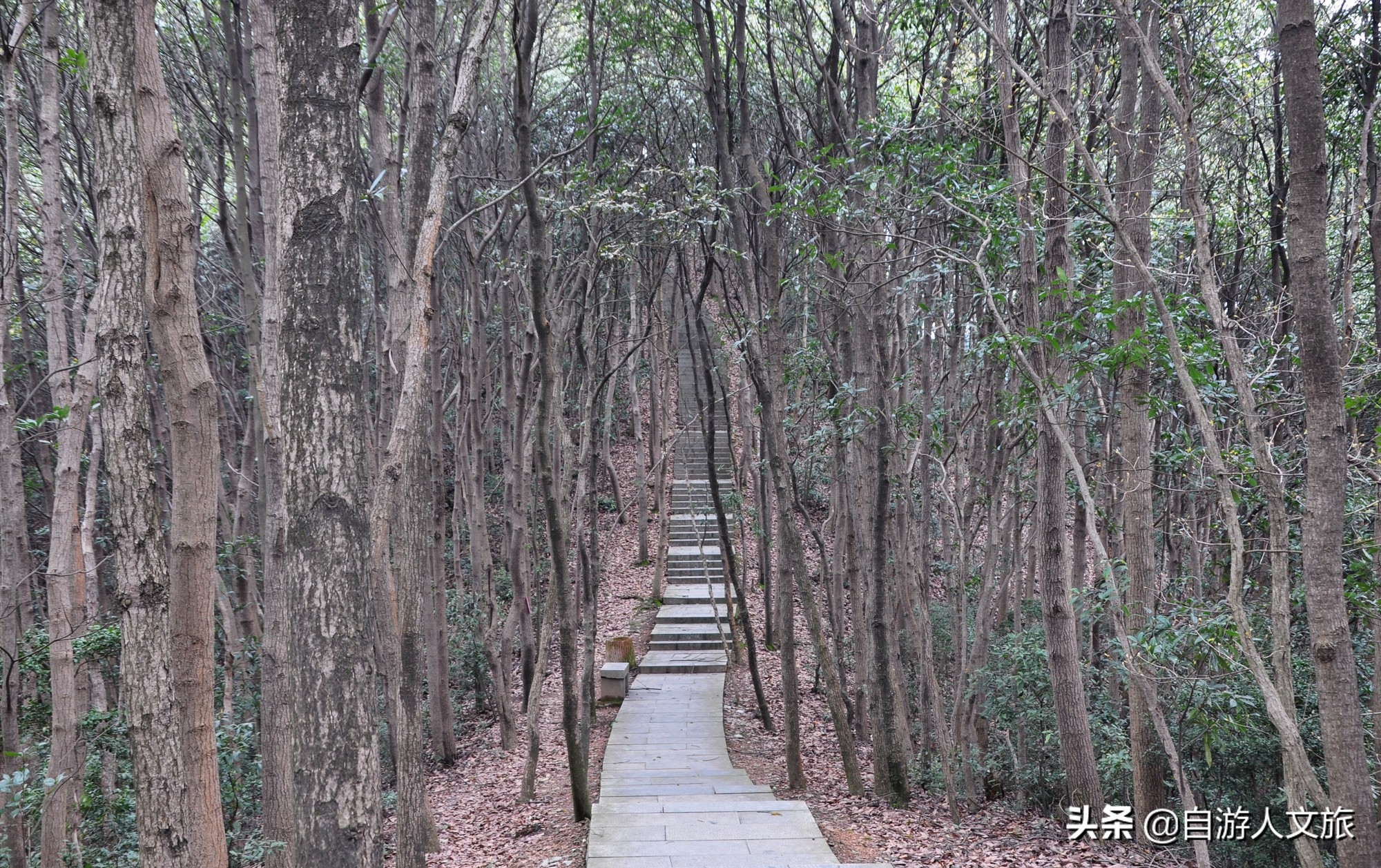 环西湖群山徒步毅行,行走西湖古诗词