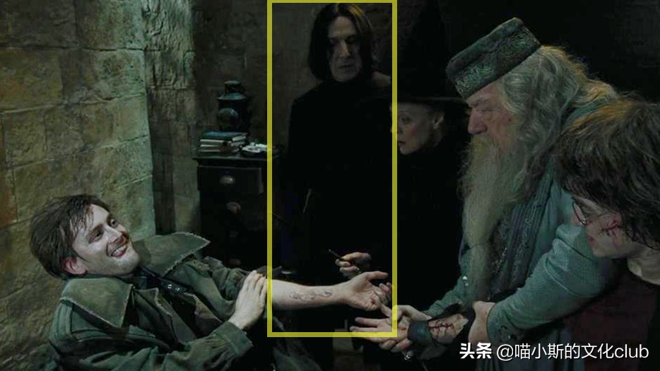 哈利波特中的斯内普和波特冷知识,哈利波特哈利对斯内普评价