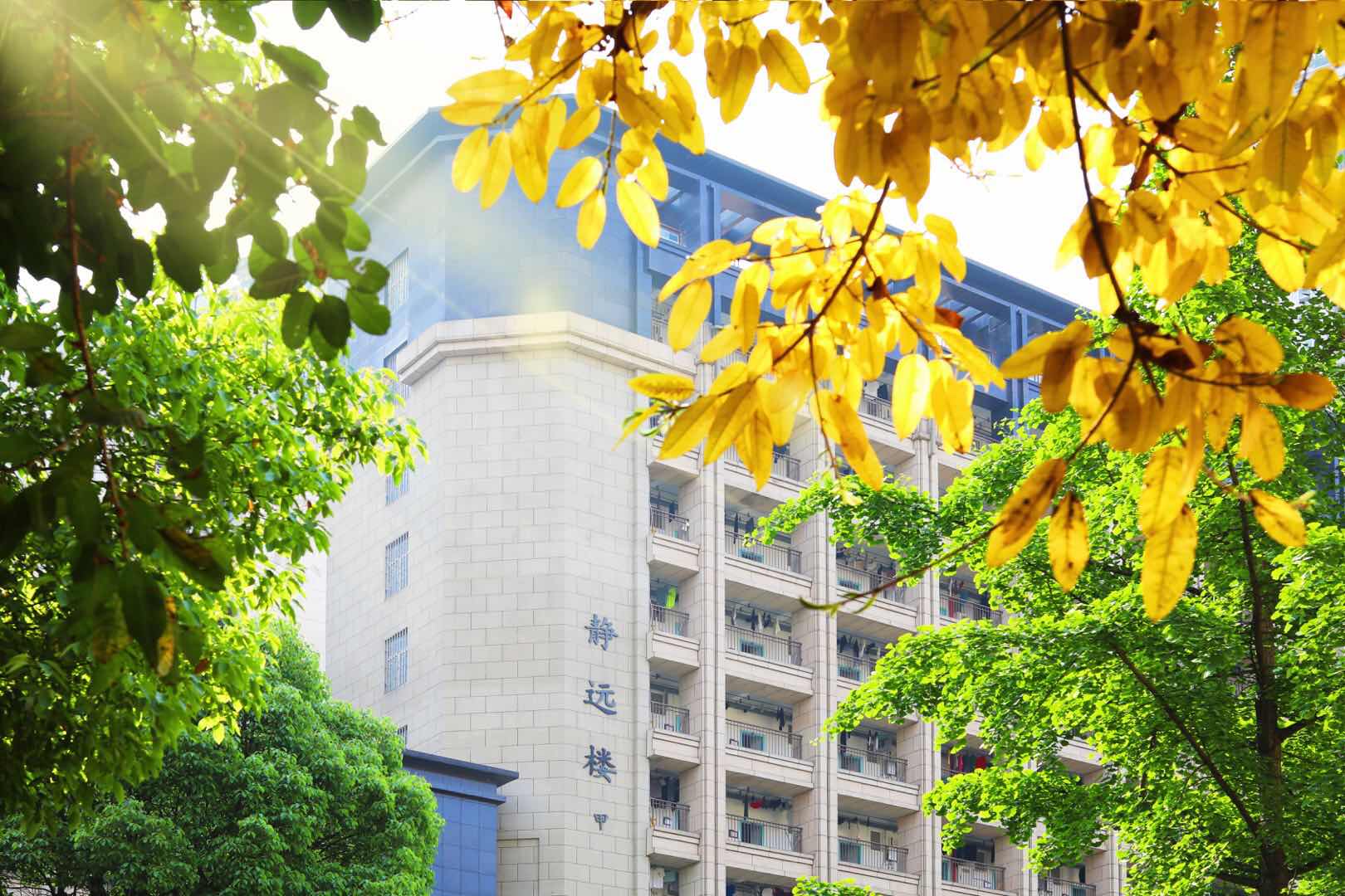 重庆市重点中学排名前10名,重庆重点中学前十名