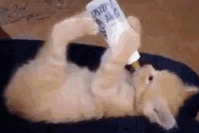 请问抽血前能喝水吗,去医院查怀孕抽血必须早上空腹吗