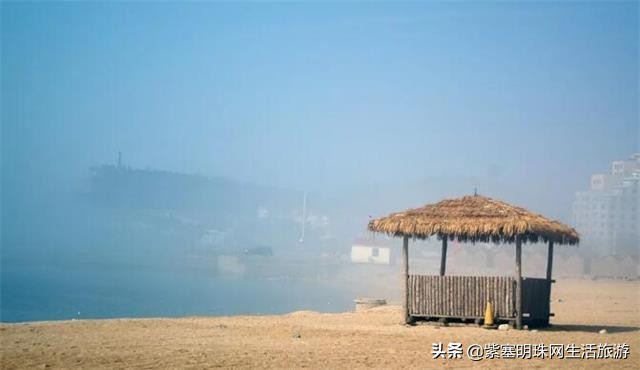 山东省长岛县渔家乐,长岛哪里的渔家乐最好