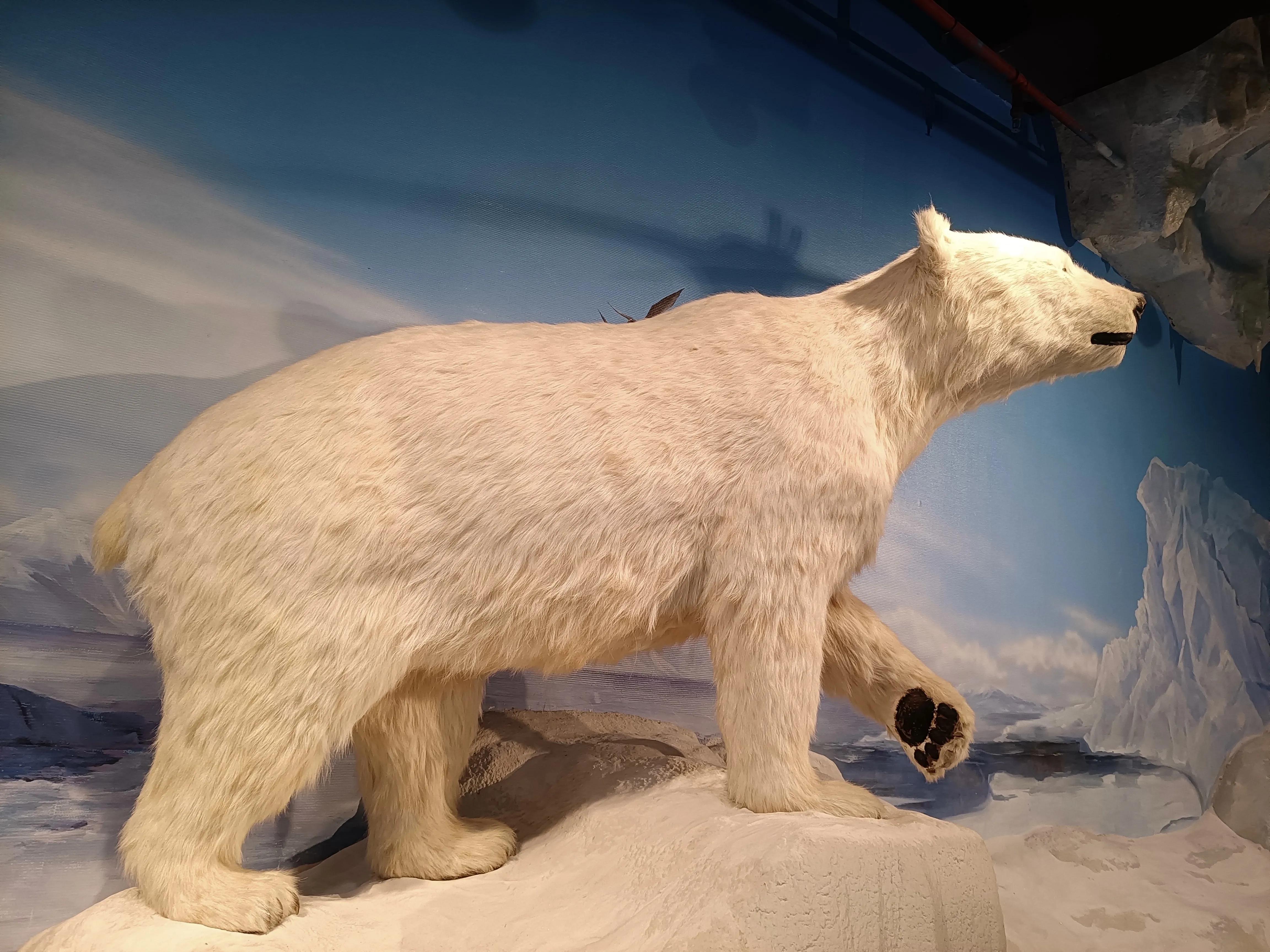 上方山森林公园作文,上方山森林公园动物世界