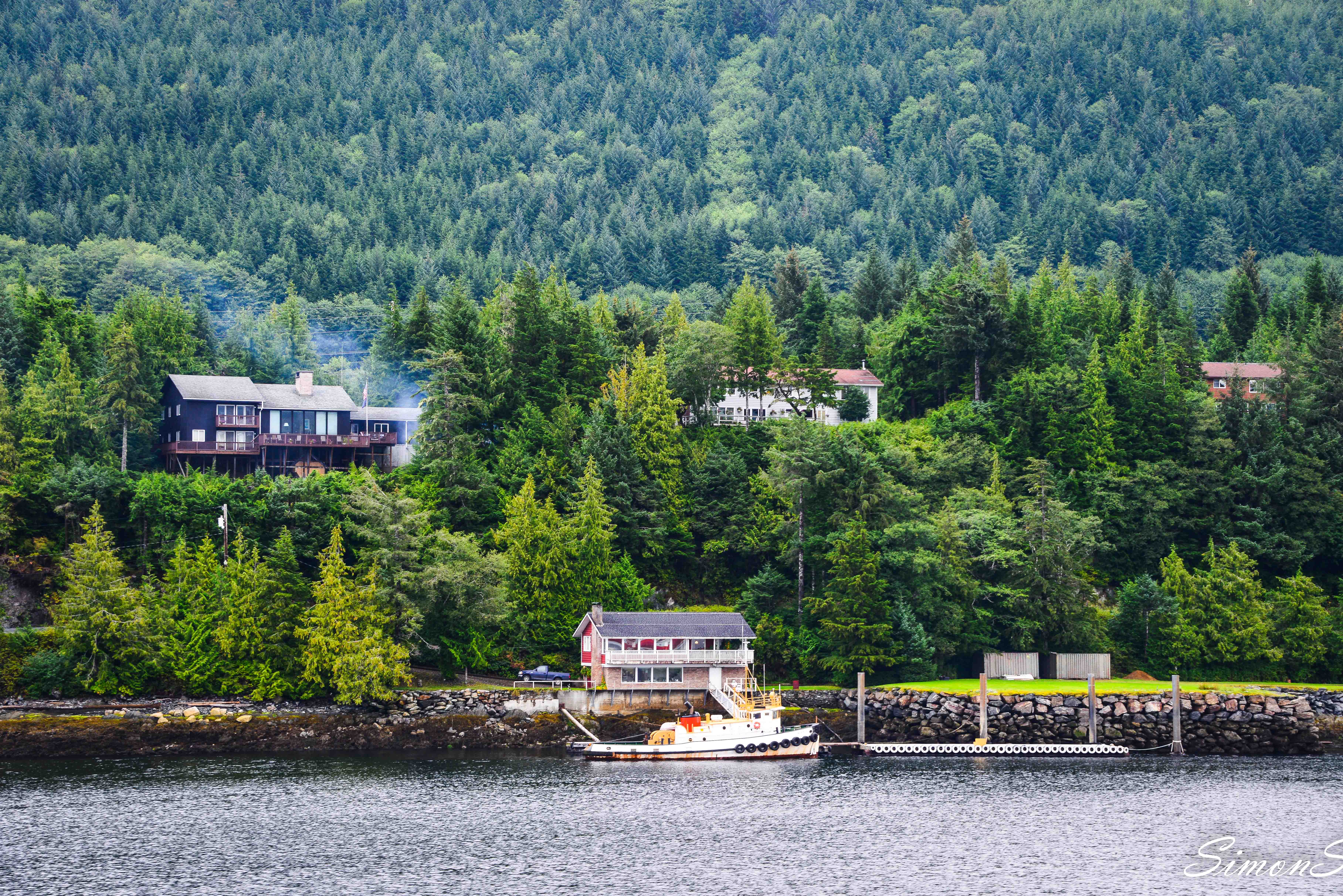 阿拉斯加：男人和三文鱼都赶来配种的“*灯区红**“