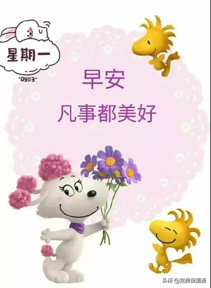 2019早安带字图片朋友圈,暖心早安祝福唯美图片带字