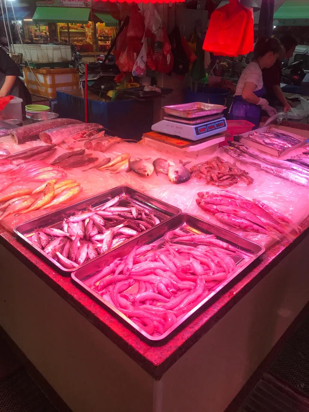 珠海斗门哪里海鲜便宜,吃货必去的海鲜城市