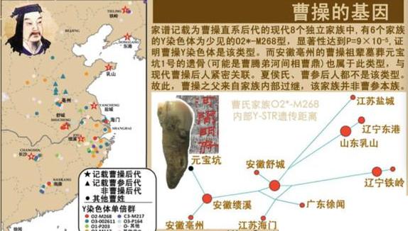 南医大杀人案破案经过,y染色体破案案例