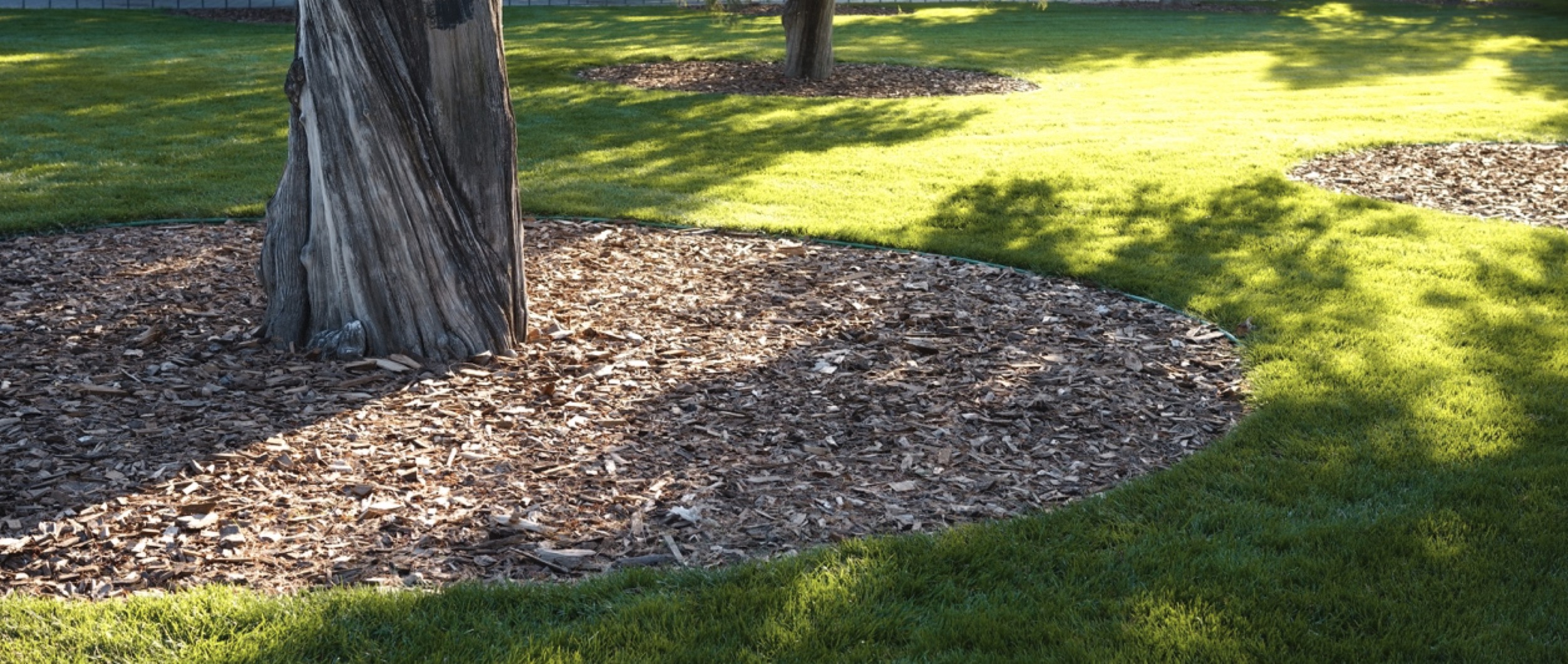 适马fp全画幅相机怎么样,适马fp二代对比什么相机