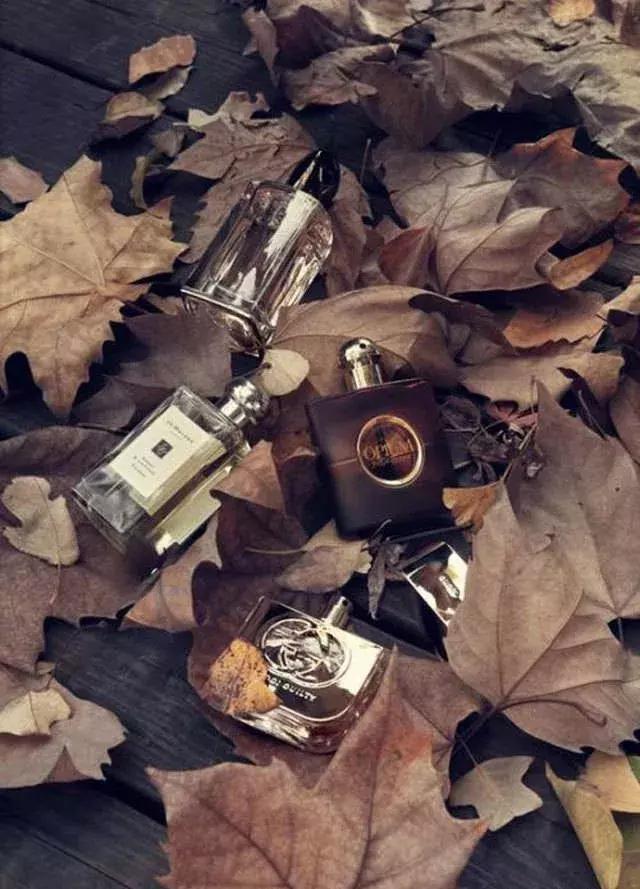 适合秋冬的香水淡香,适合秋冬季节使用的香水