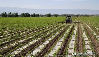 *疆新**建设兵团，军垦产品为什么受大众青睐？