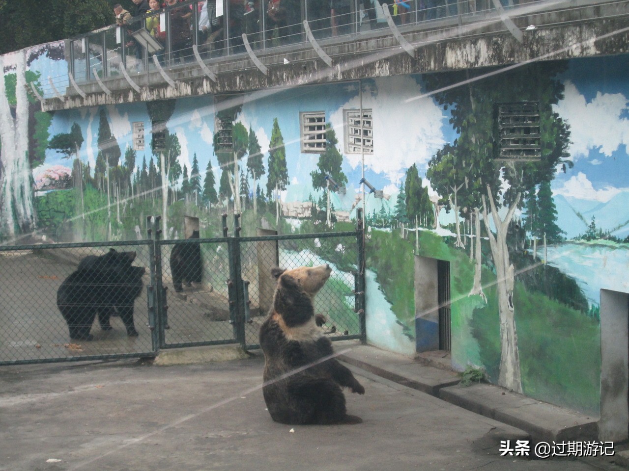 成都小众景点全部,成都动物园本周六免门票怎么预约