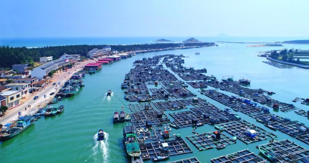 美美美!海南这几家新增的“金宿级”民宿,你想要的诗和远方都有