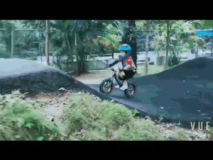 15款平衡车大摸底 (平衡车大摸底)