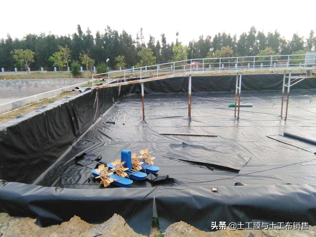 生态农业养殖价格表最新,绿色渔业养殖费用