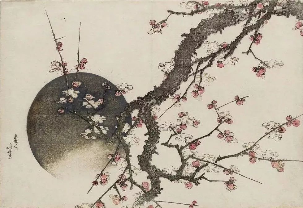 梵高毕加索的画到底好在哪里,梵高莫奈笔下的油画