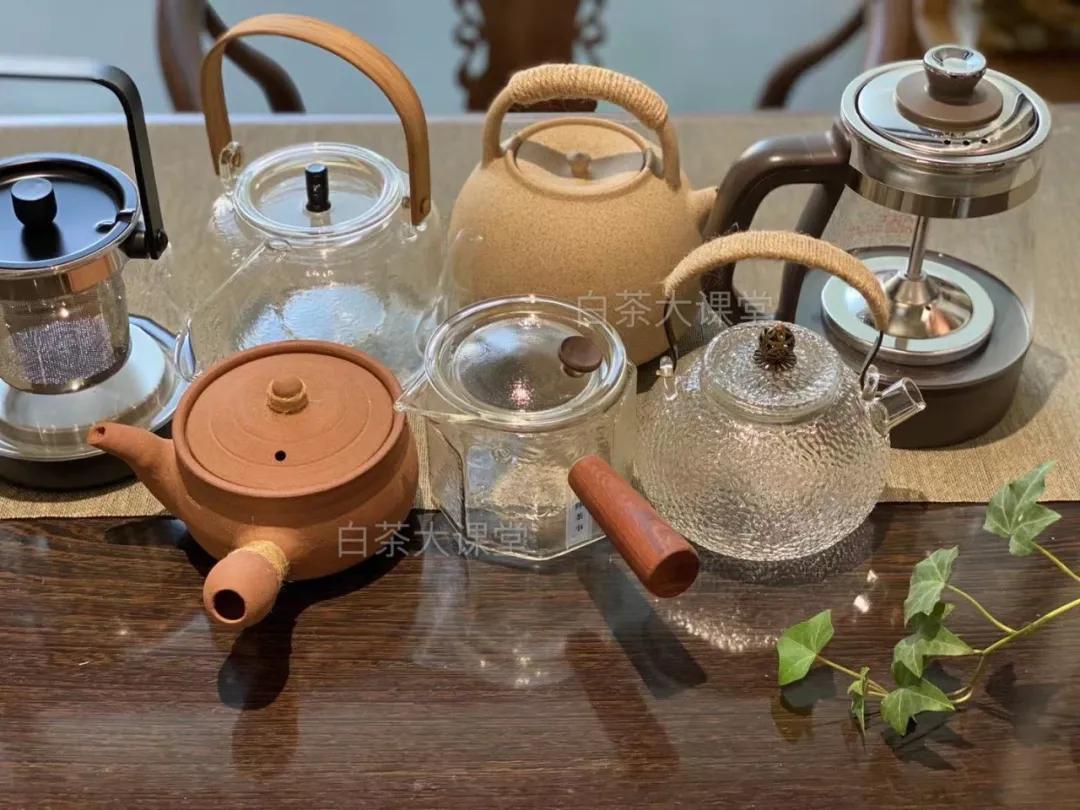 为什么白茶煮出来会苦,为什么白茶泡着不好喝焖好喝