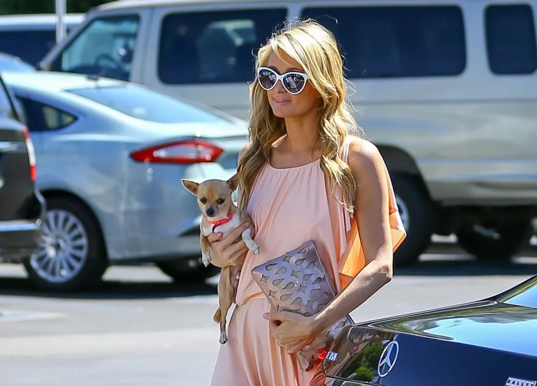 名媛卡戴珊,卡戴珊给希尔顿拎包照片