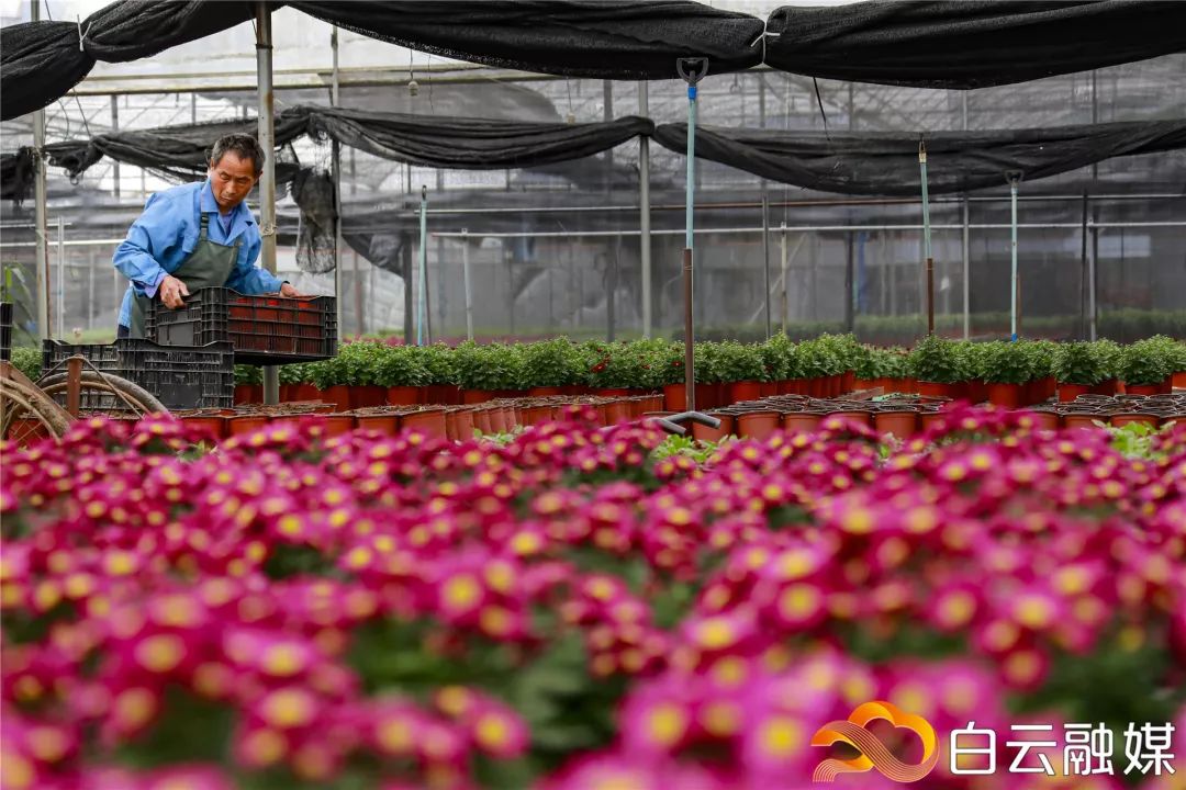 走，去太和！帽峰山下赏红叶、逛农庄、吃烧鸡、住民宿……