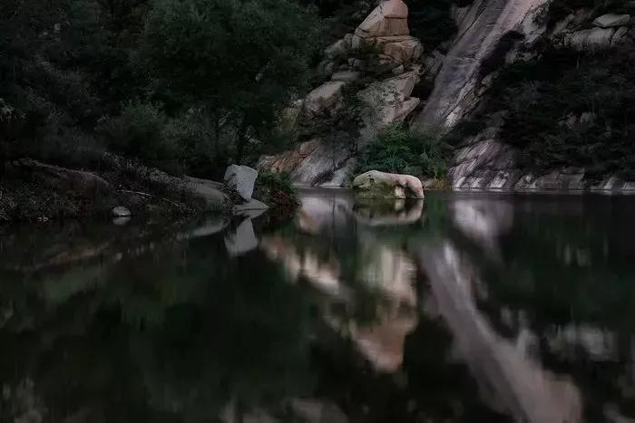 凝香集萃,四季皆美!莱芜区香山,鲁中山区的璀璨明珠