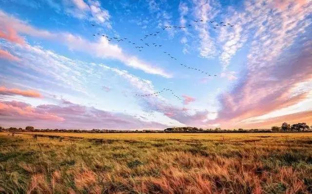 百川论道｜晋惠帝