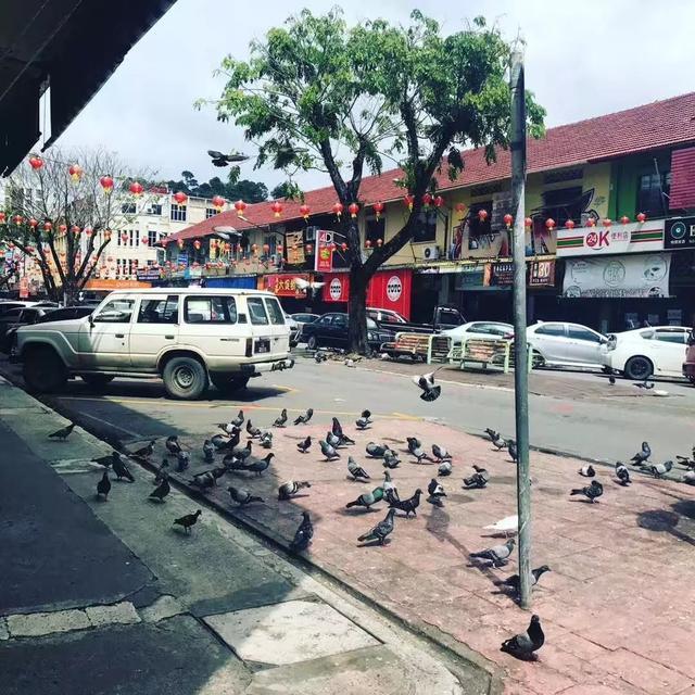 马来西亚初印象,马来西亚沙巴的回忆