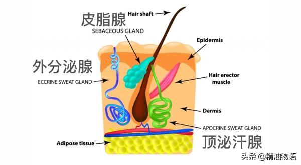 体味重的治疗方法,去体味