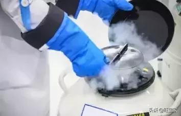 范冰冰李冰冰徐静蕾林志玲,徐静蕾与李小冉林志玲