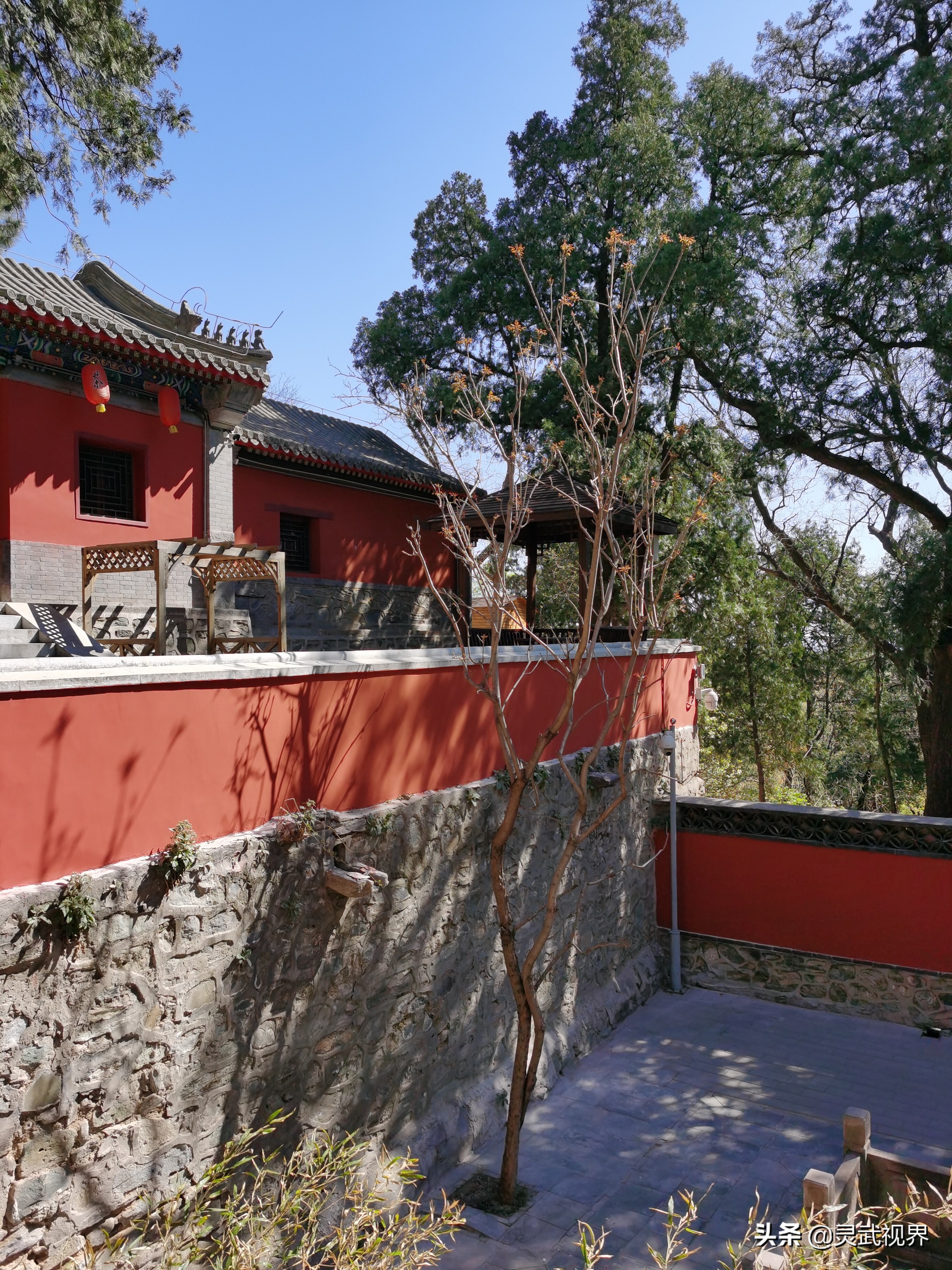 带你看看不一样的装饰,带你看看不一样的家