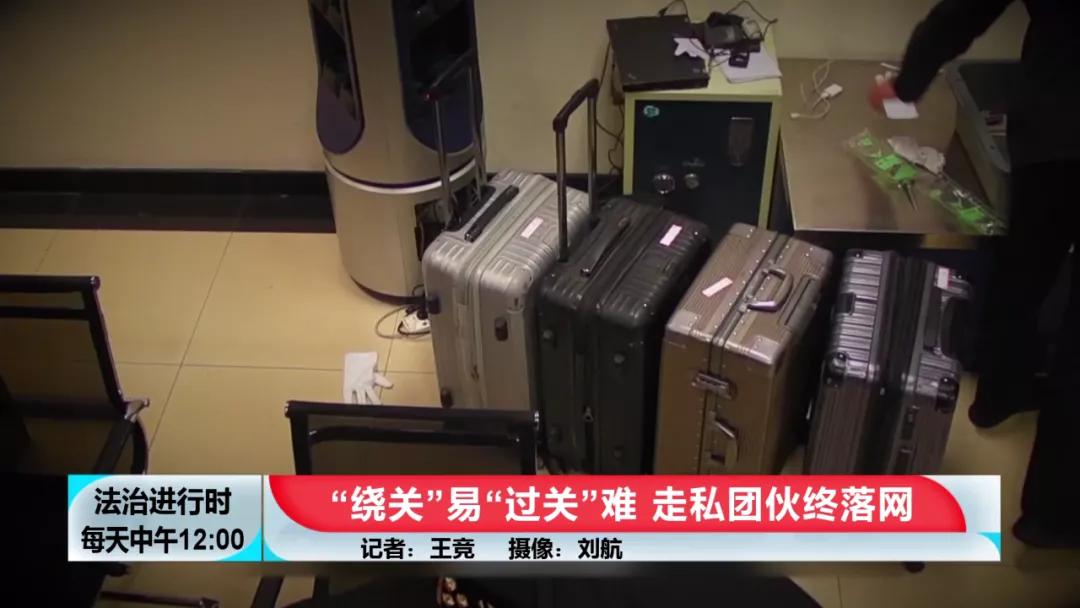 【BTV-我是检察官】认罪认罚背后的故事④：犯罪团伙*私走**高鼻羚羊角303根，价值606万元