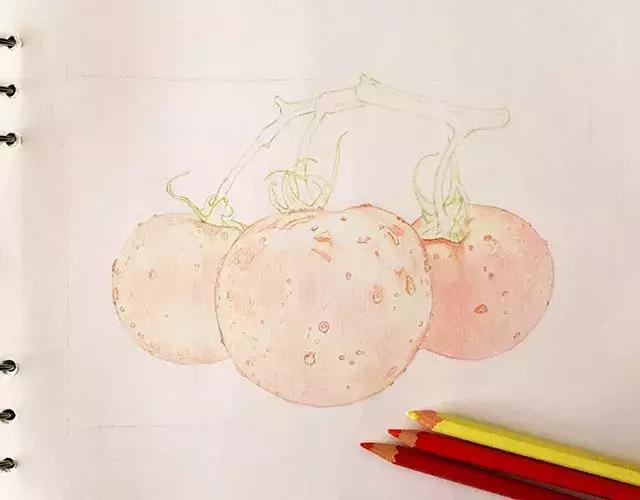 儿童彩铅画番茄,彩铅画写生番茄