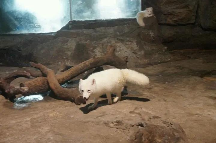 来一场说走就走的旅行珠海长隆,广东长隆及珠海长隆旅游攻略