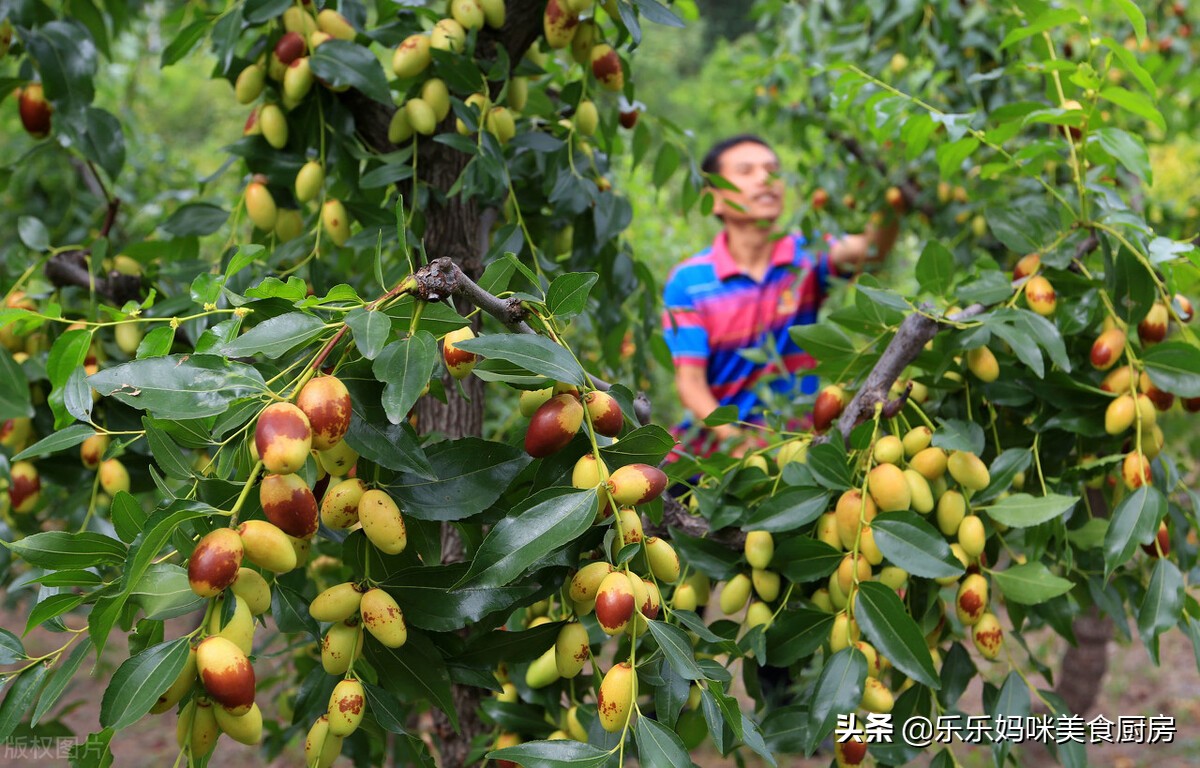 入秋必吃的水果,入秋后这5种时令水果放开了吃
