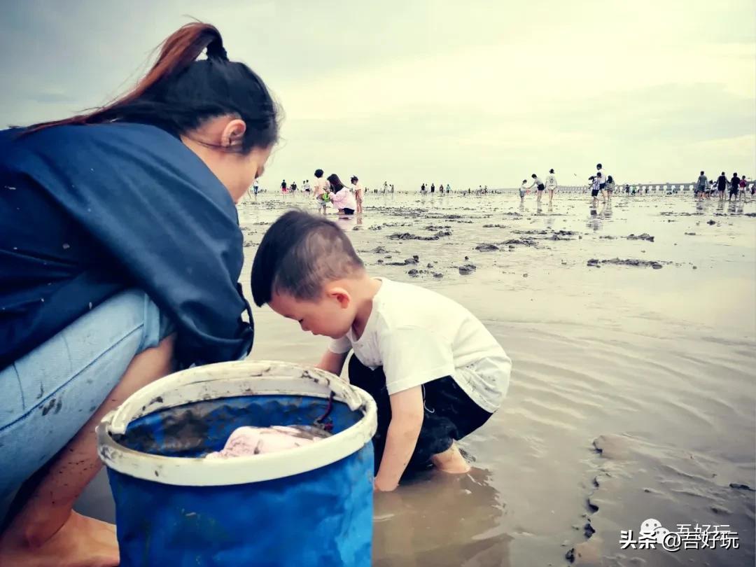 遛娃|南汇新城海滩，魔都夏日必打卡？