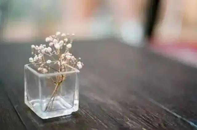 云对雨雪对风声律启蒙完整,声律启蒙晚照晴空翻译