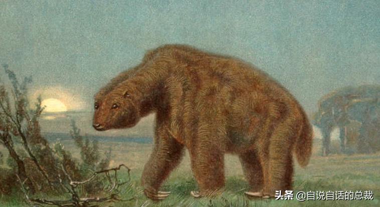 牛油果是坏了吗,牛油果几十年前