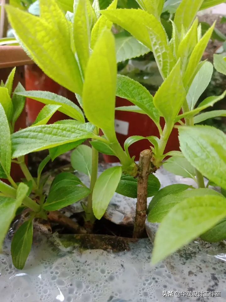 防盗门门边缝隙可以打结构胶吗,家里装修的门框开胶了如何修复