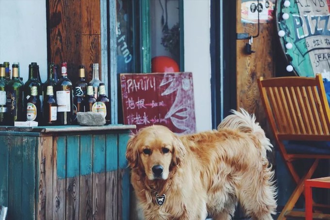 大理古城散步的街,大理古城全部走完的路线