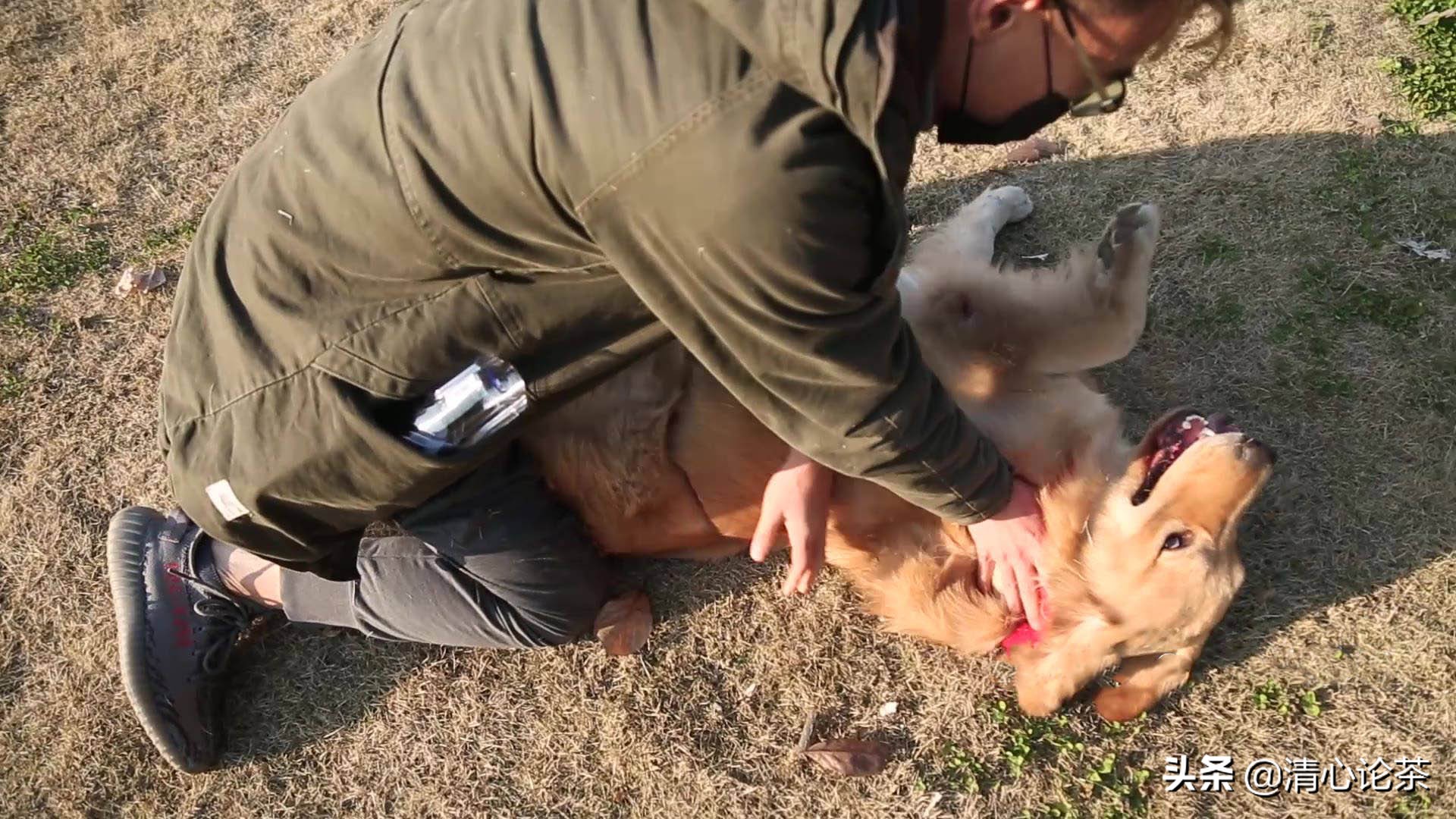 云南名茶最新排行榜前十名,云南普洱茶生茶十大名茶