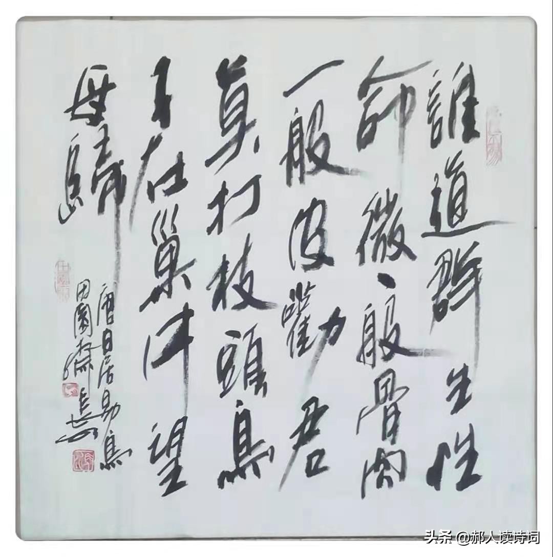 人类与自然和谐共生的诗,人类自然和谐共生古诗