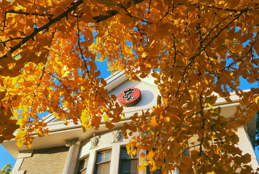 2022春节大连本命年免费景点,大连免费景点排行榜前十名