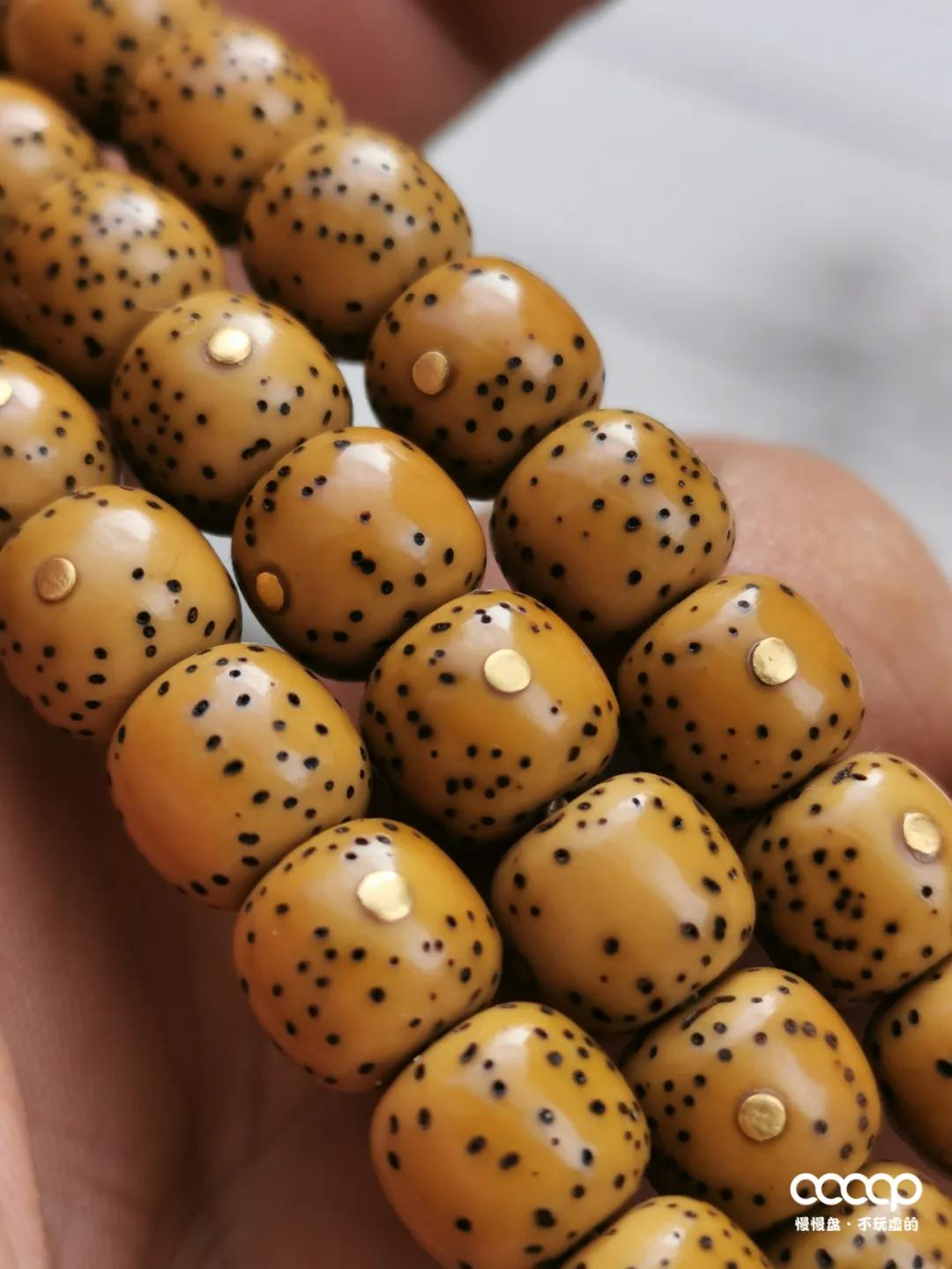 盘了一段时间的金刚还能用水泡吗,玉化金刚最新消息