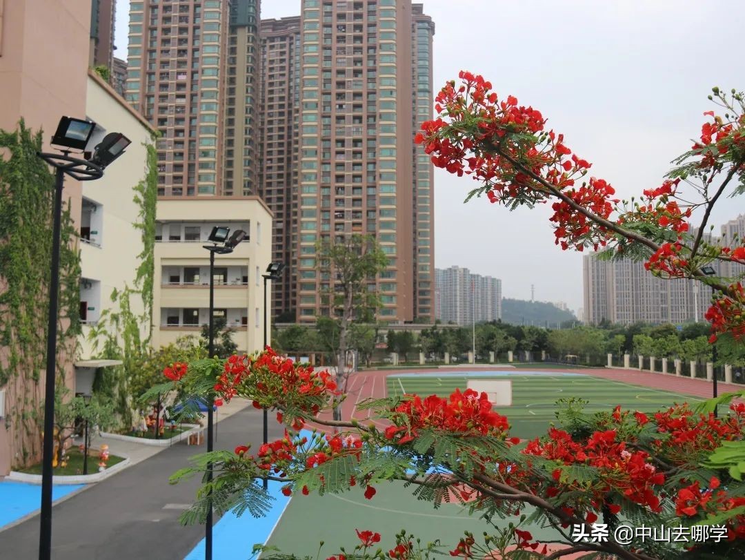 中山各高中喜报,中山西区重点学校