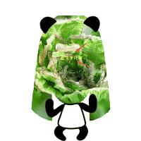 白菜种叶发黄的治疗方法,白菜枯死怎么治